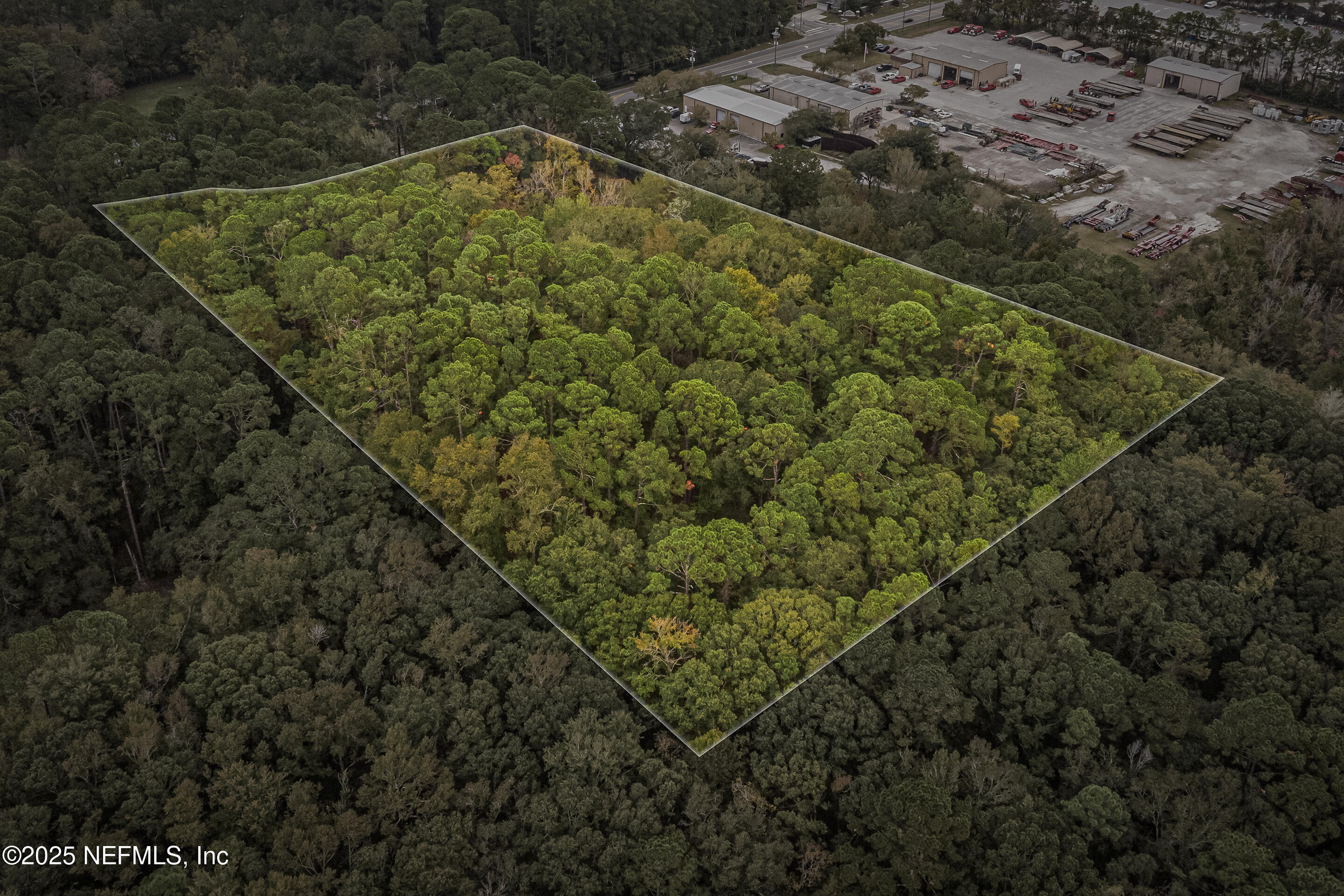 6535 General Lee Road Jacksonville, FL 32254 - Photo 14 of 16 a view of a forest