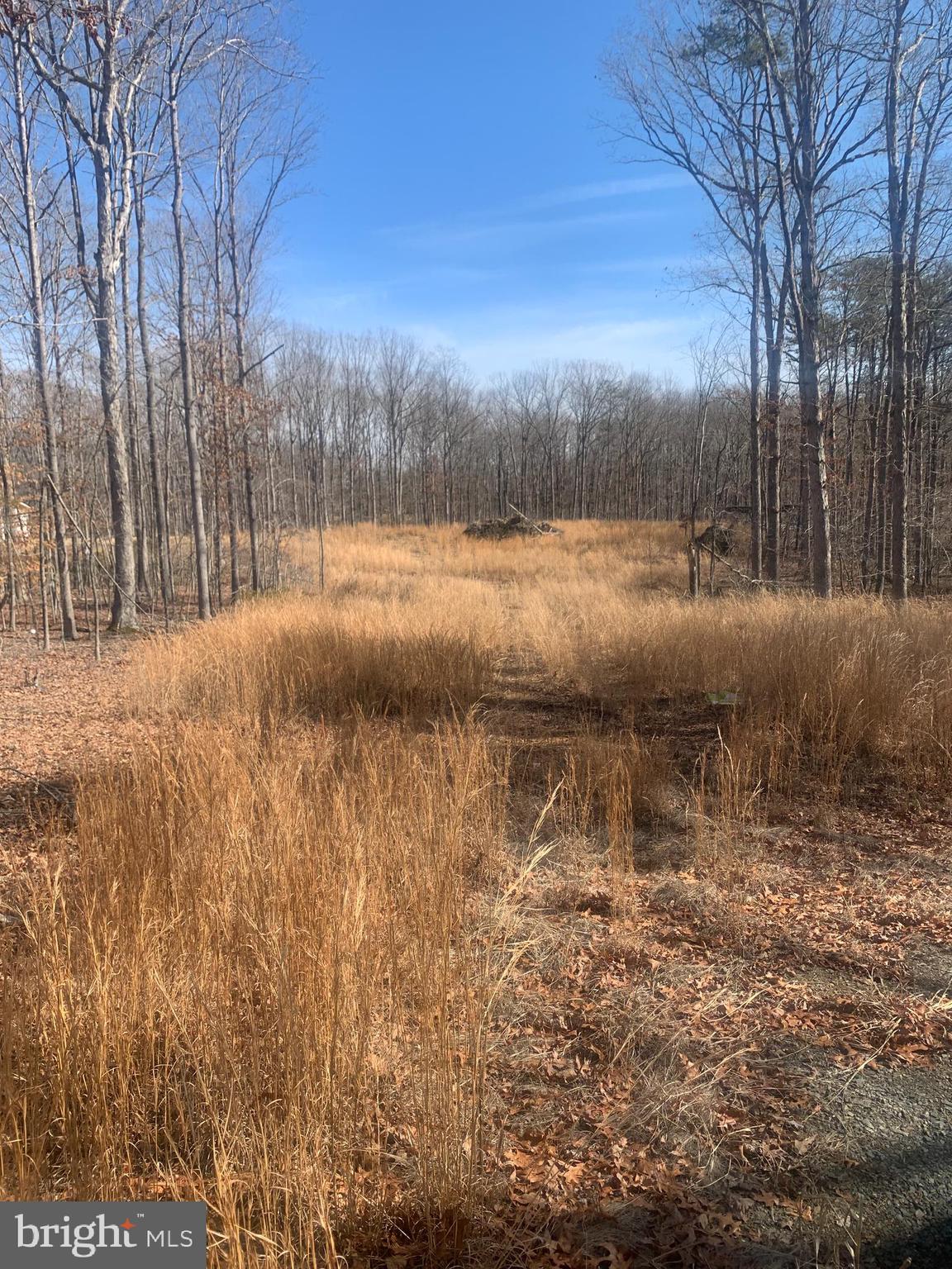 Lot C1 Cox Mill Road Orange, VA 22960 - Photo 1 of 12 Gallery Image 1