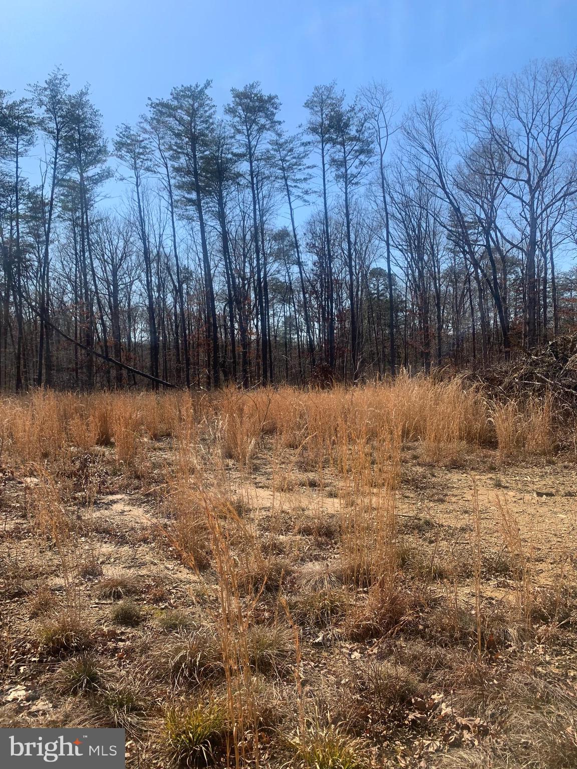 Lot C1 Cox Mill Road Orange, VA 22960 - Photo 3 of 12 Gallery Image 3