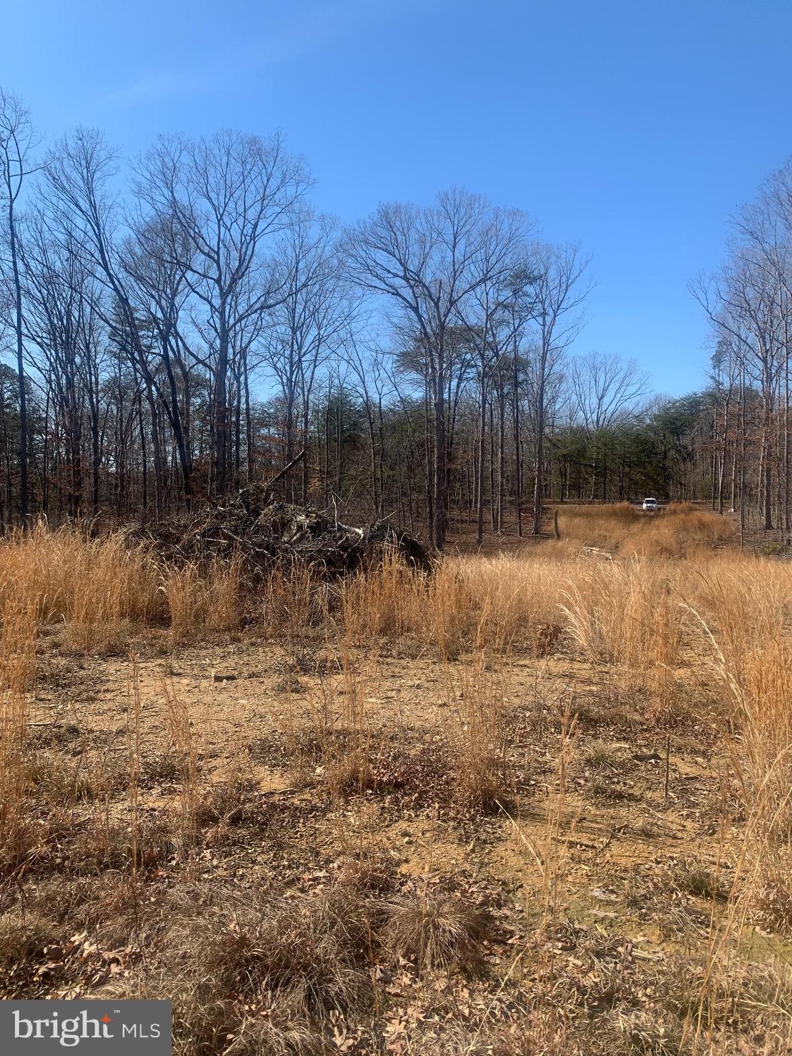 Lot C1 Cox Mill Road Orange, VA 22960 - Photo 4 of 12 Gallery Image 4