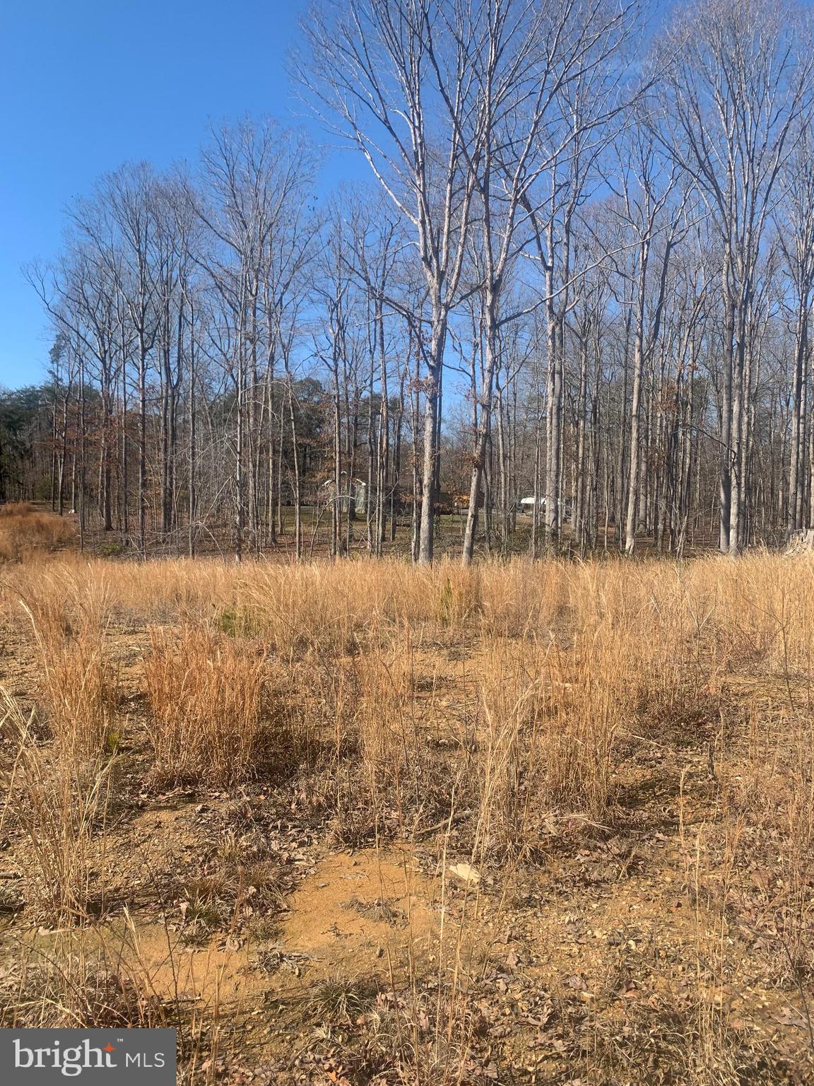 Lot C1 Cox Mill Road Orange, VA 22960 - Photo 6 of 12 Gallery Image 6