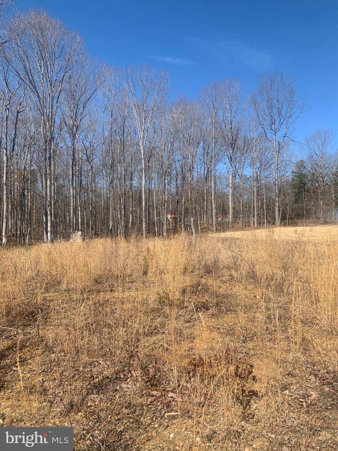 Lot C1 Cox Mill Road Orange, VA 22960 - Photo 7 of 12 Gallery Image 7