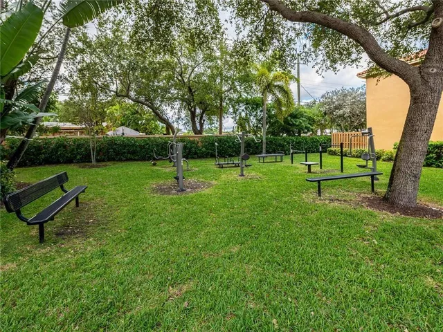 a view of a park with a tree