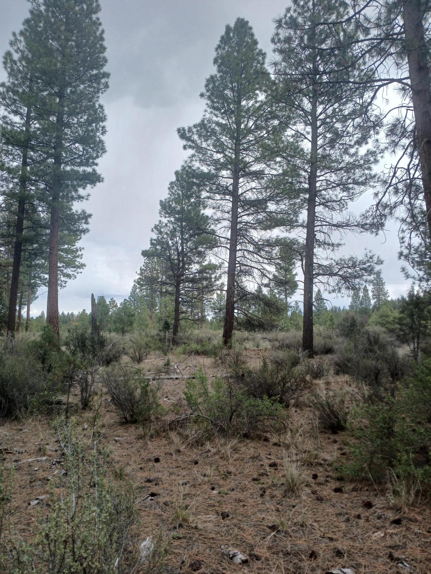 0 Tableland Road Chiloquin, OR 97624 - Photo 10 of 18 20260427_142522