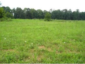1028 Mitchell Road Kingsport, TN 37663 - Photo 1 of 5 Photo 1