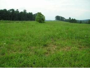 1028 Mitchell Road Kingsport, TN 37663 - Photo 2 of 5 Photo 2