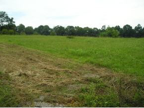1028 Mitchell Road Kingsport, TN 37663 - Photo 4 of 5 Photo 4