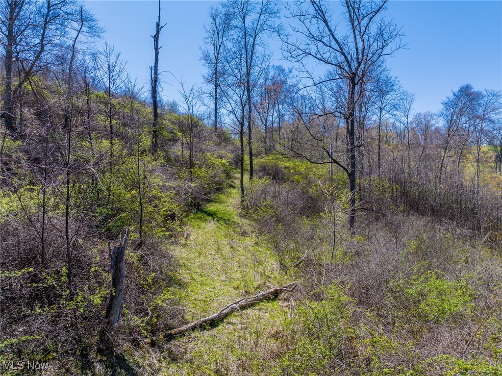536 State Route Sardis, OH 43946 - Photo 12 of 19 View of local wilderness featuring a wooded view