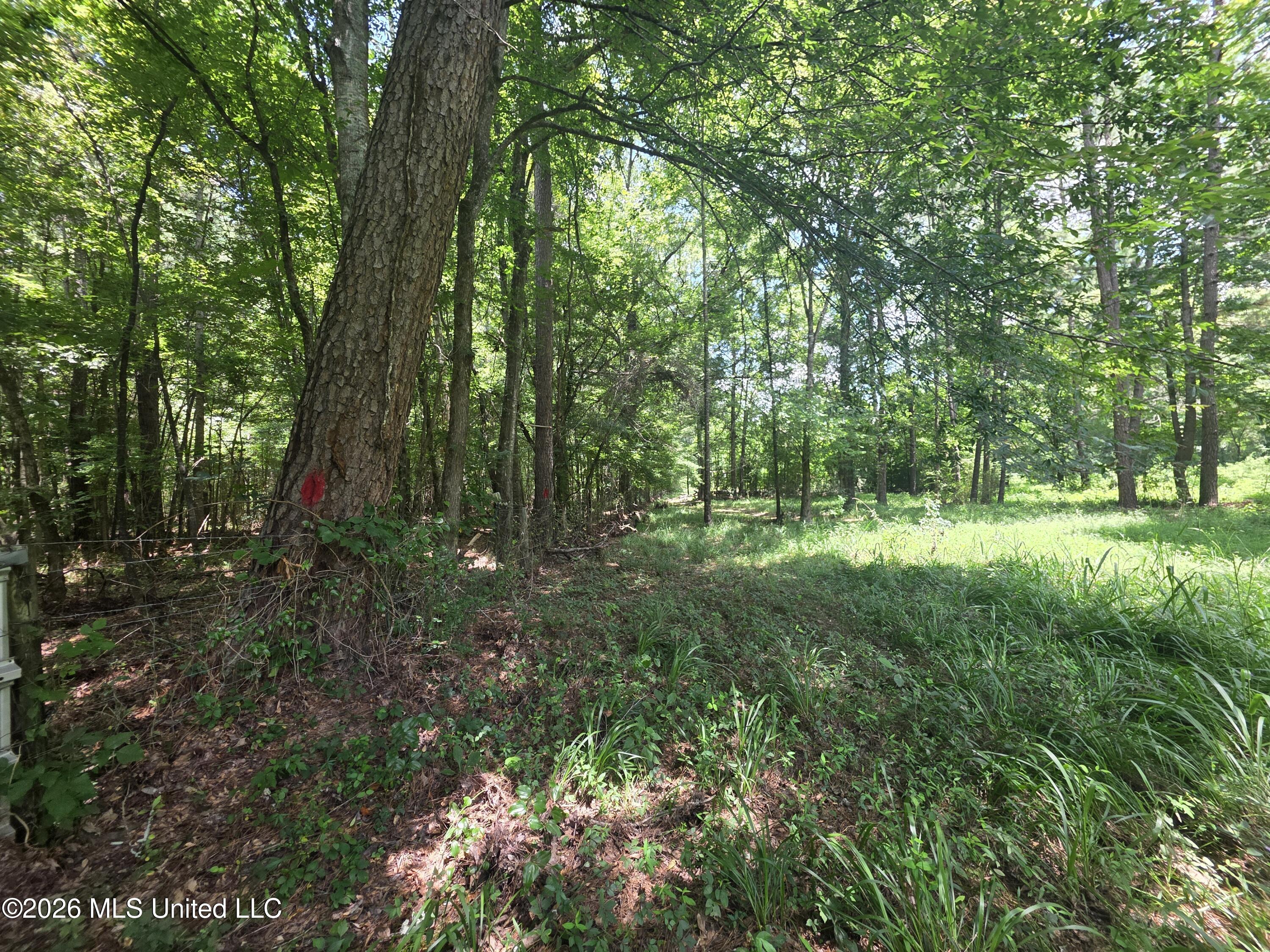 538 East Scrd Morton, MS 39117 - Photo 10 of 30 37169