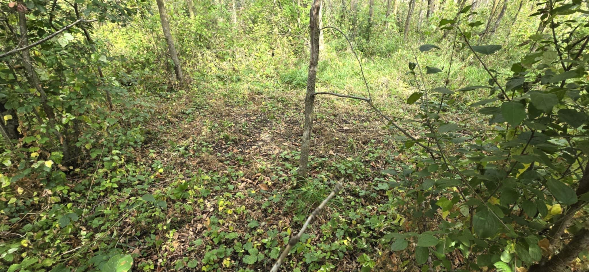 Parcel Tbd 250th Street Mahnomen, MN 56557 - Photo 20 of 22