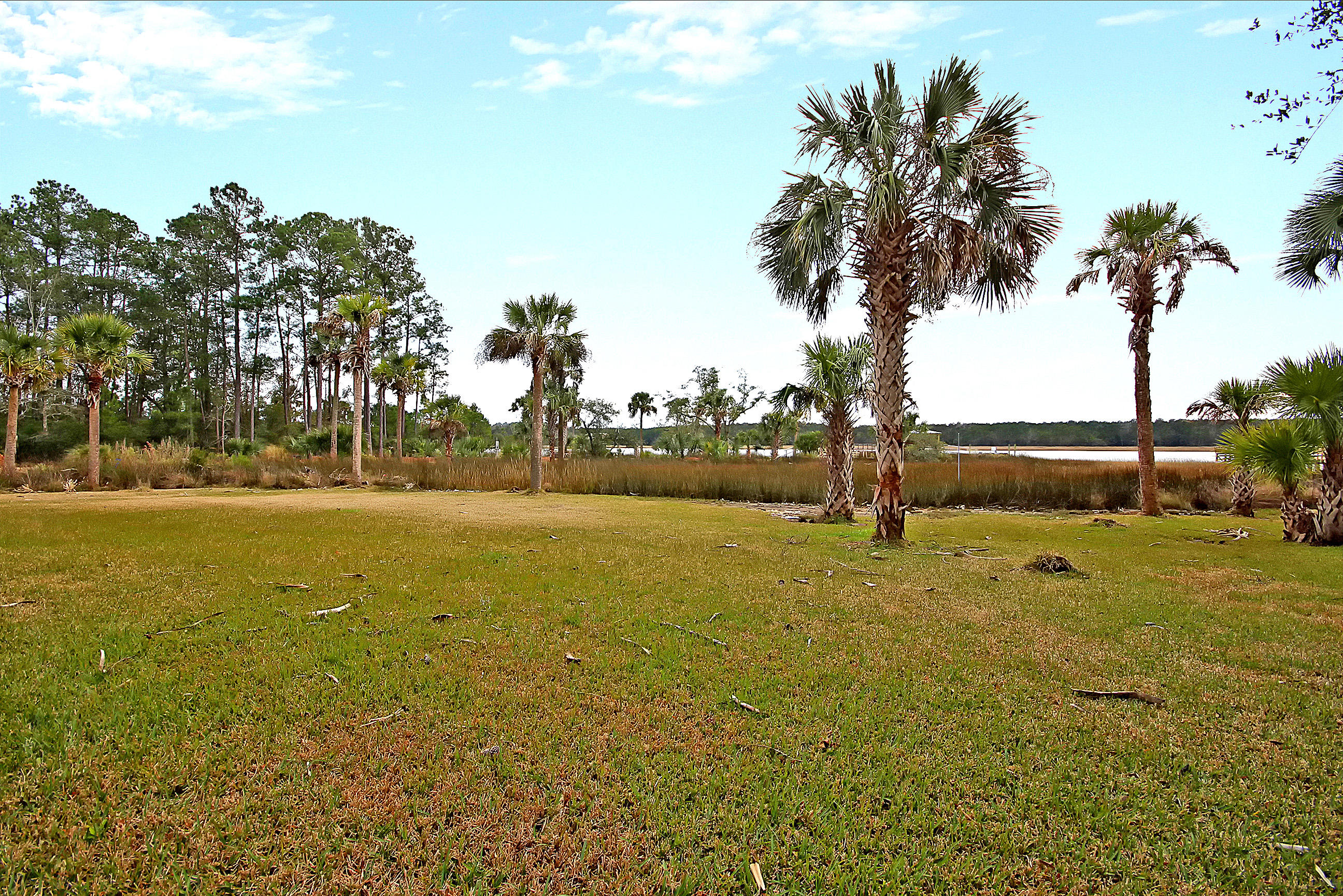 1392 Eden Road Awendaw, SC 29429 - Photo 10 of 60 Backyard