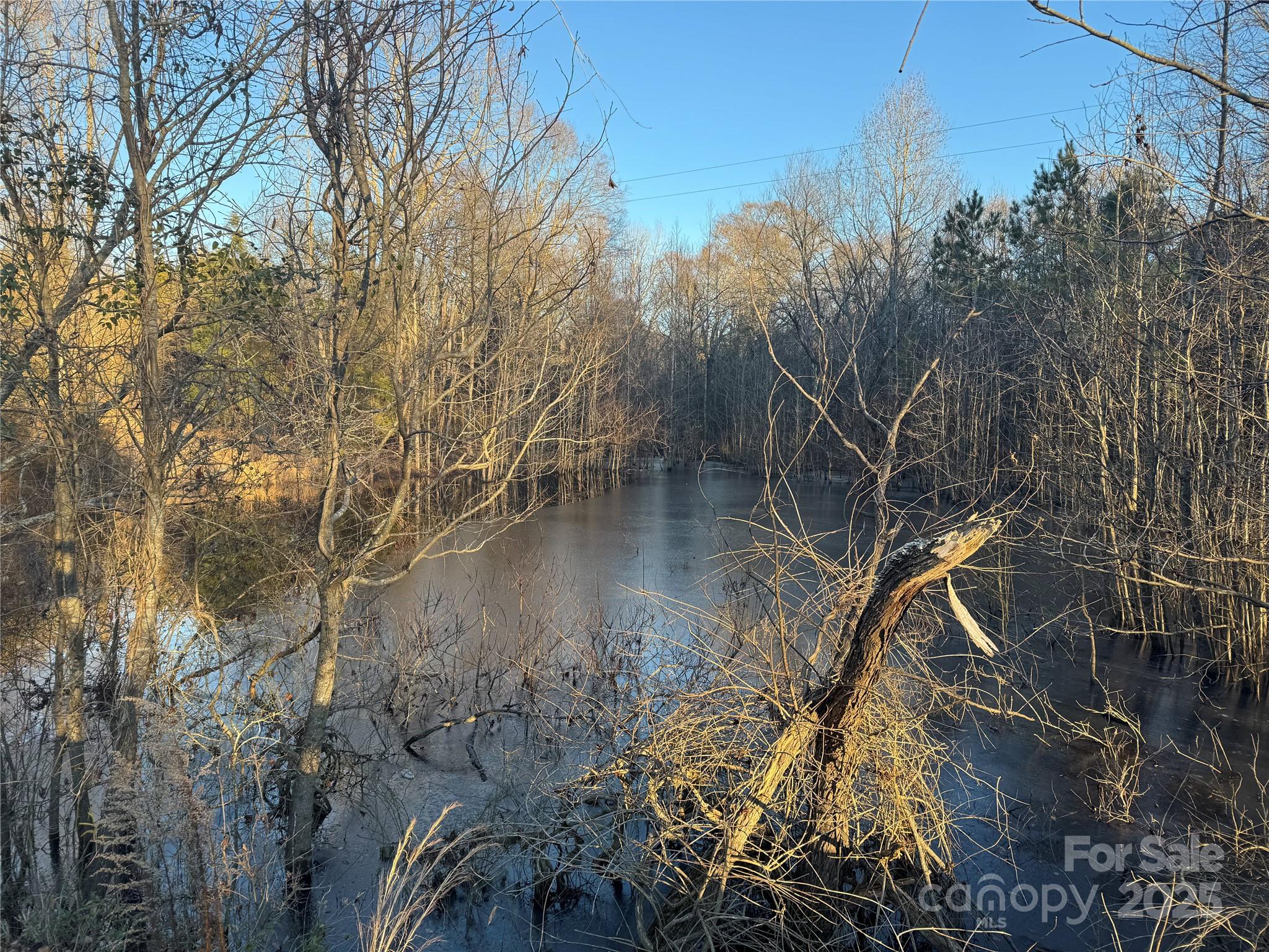 4252-1 Reid Road Rock Hill, SC 29730 - Photo 3 of 6