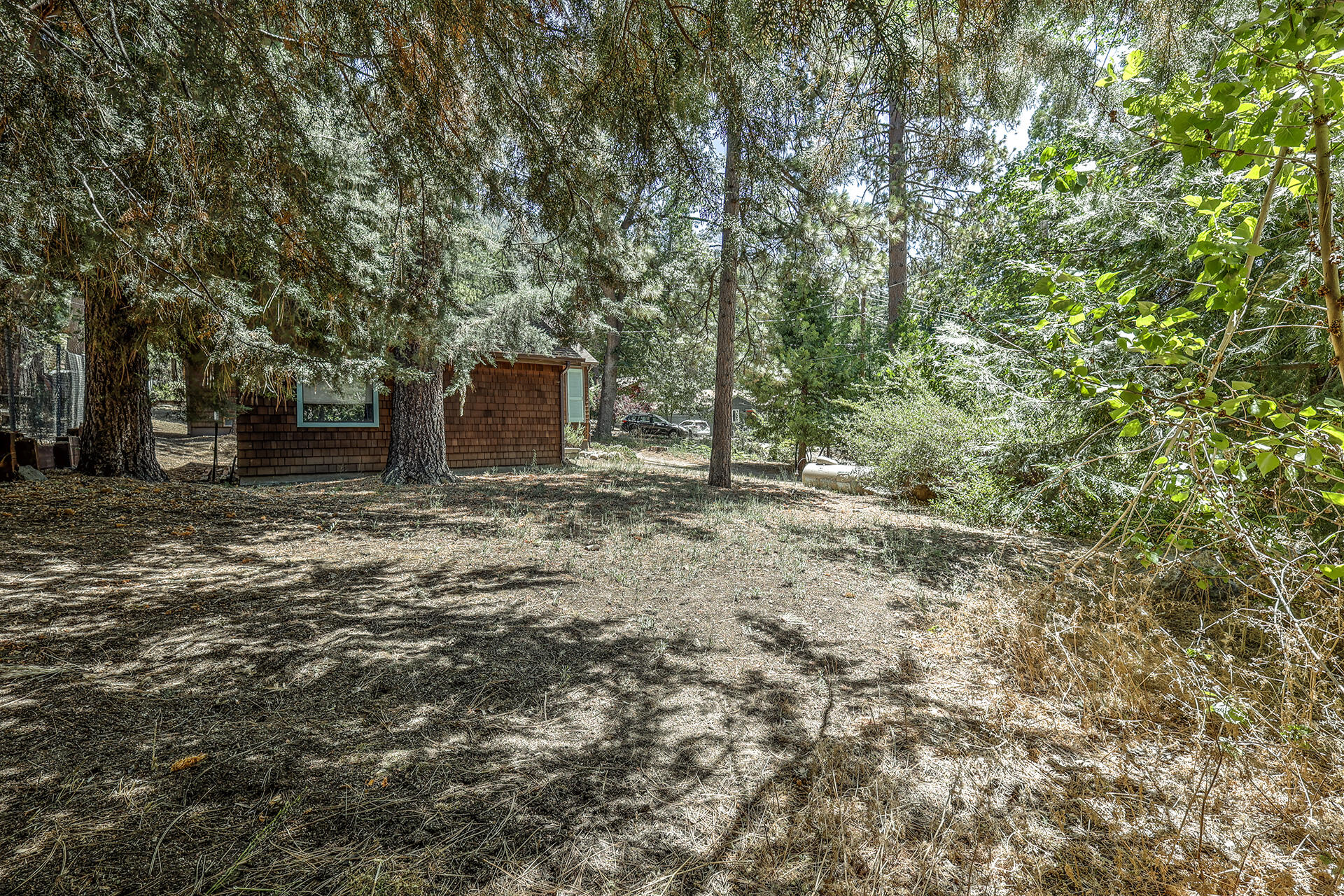 25093 Rim Rock Road Idyllwild, CA 92549 - Photo 54 of 62 a view of a backyard with large trees
