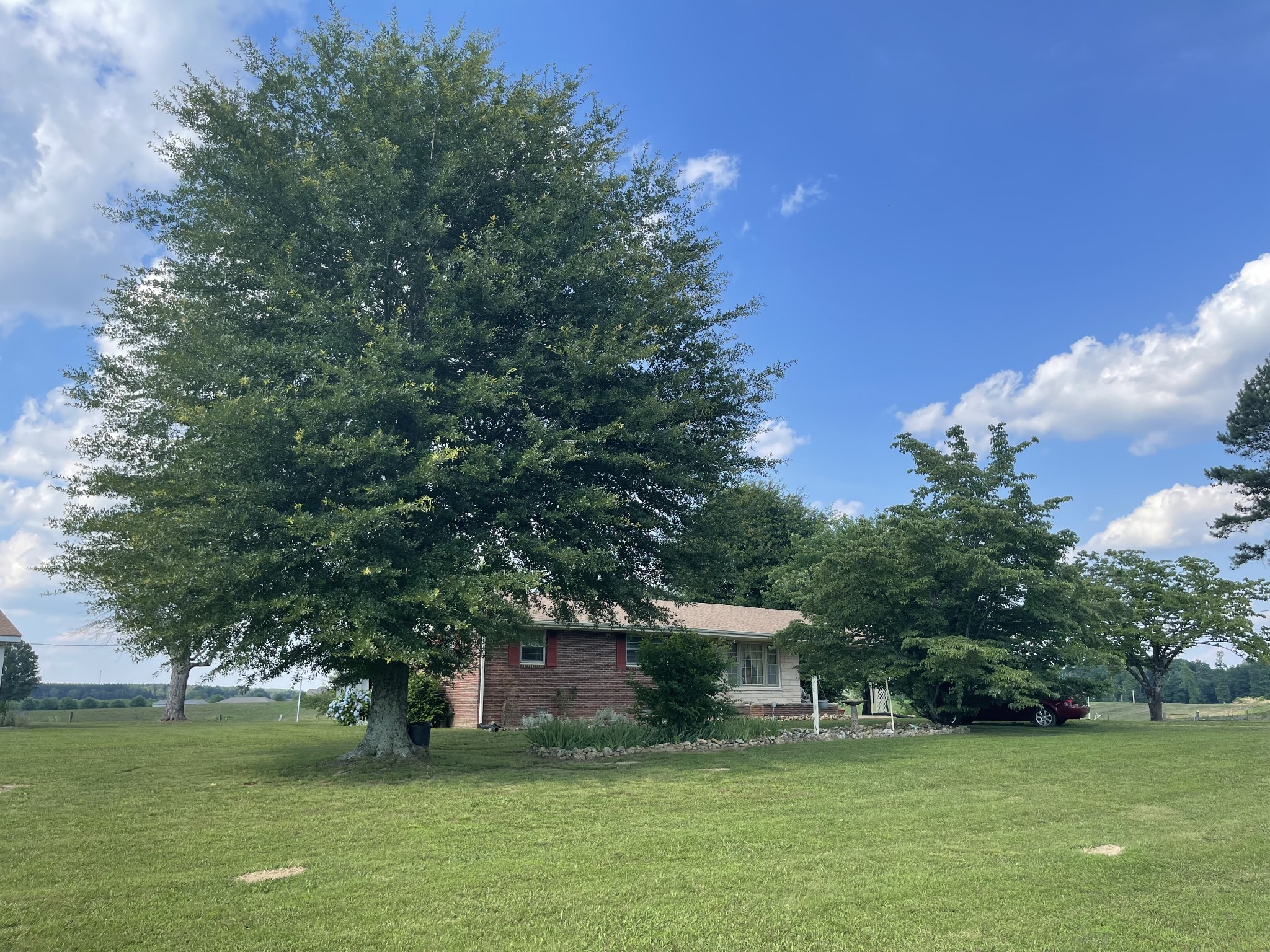 66 Union Hill Road Loretto, TN 38469 - Photo 3 of 31 a view of a house with a yard