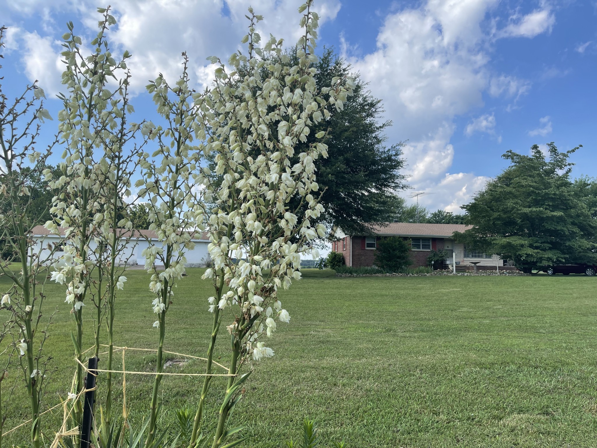 66 Union Hill Road Loretto, TN 38469 - Photo 27 of 31