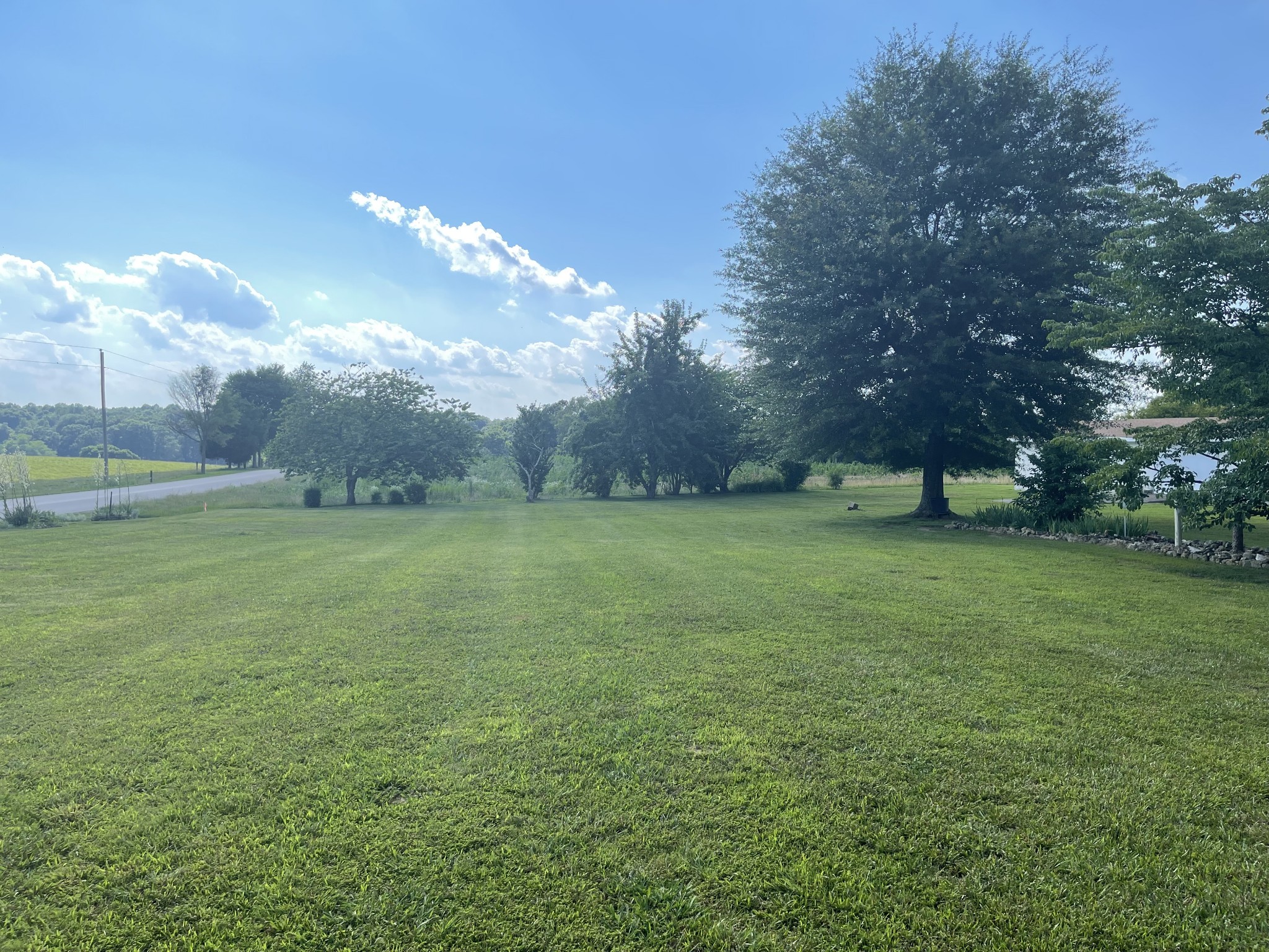 66 Union Hill Road Loretto, TN 38469 - Photo 30 of 31 a view of a big yard