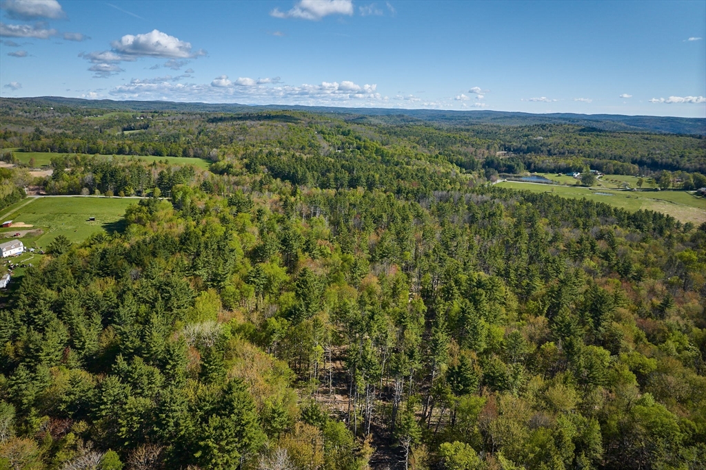 0 Radiker Road Worthington, MA 01098 - Photo 11 of 18 a view of a city with lush green forest