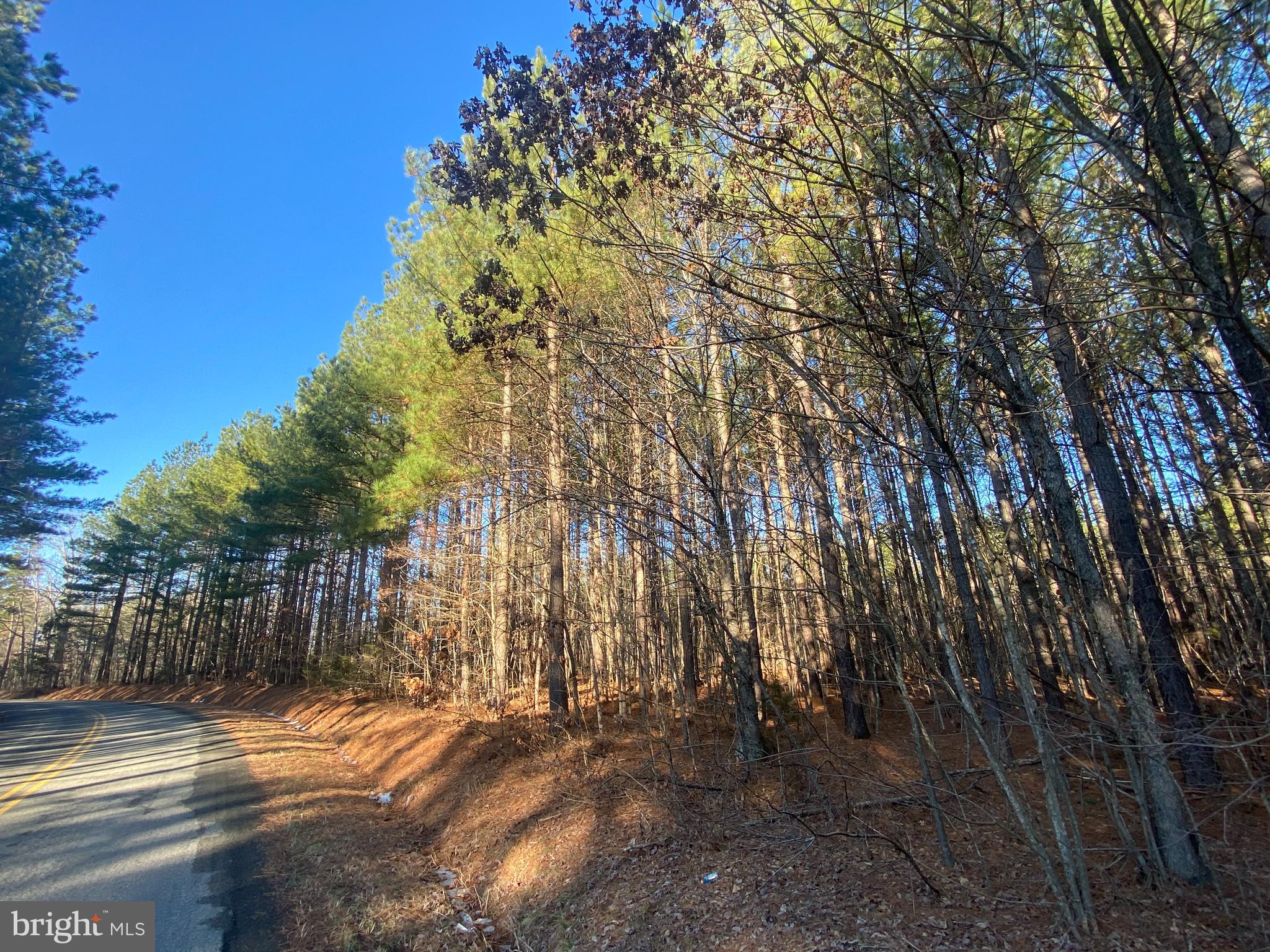 0 Th Road Gordonsville, VA 22942 - Photo 4 of 8