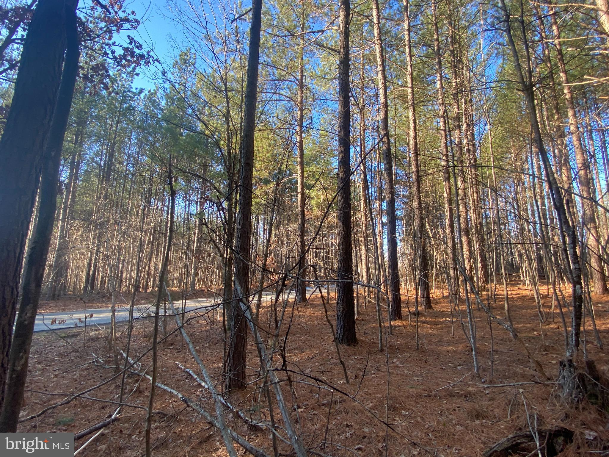 0 Th Road Gordonsville, VA 22942 - Photo 6 of 8