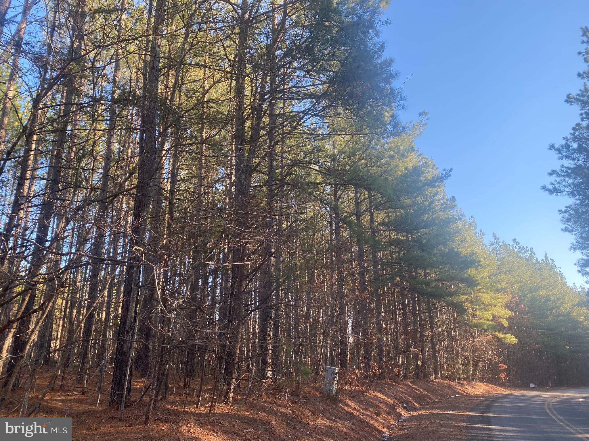 0 Th Road Gordonsville, VA 22942 - Photo 8 of 8