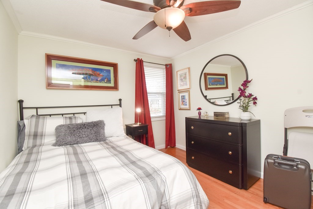 61 Arthur Street Springfield, MA 01104 - Photo 14 of 42