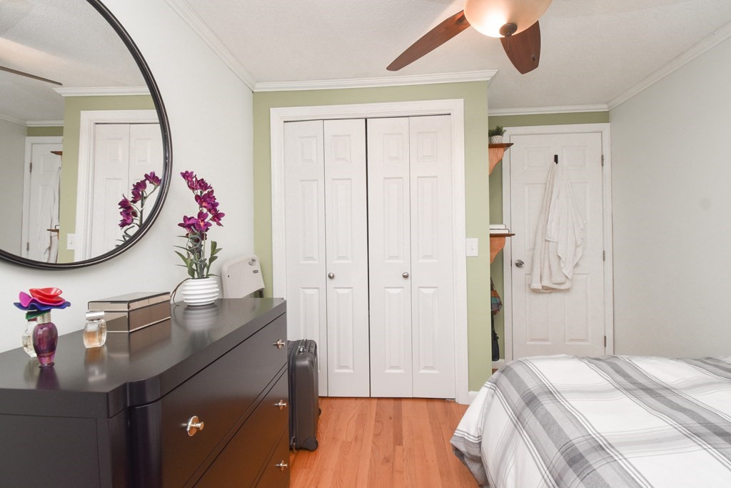 61 Arthur Street Springfield, MA 01104 - Photo 15 of 42