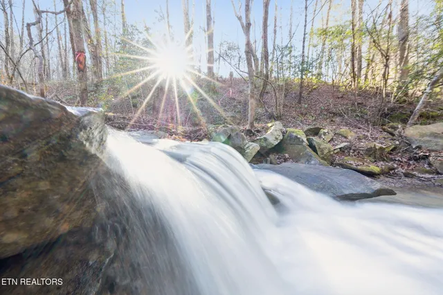 $624,900 | 590 Hamby Lane, Robbins, TN 37852