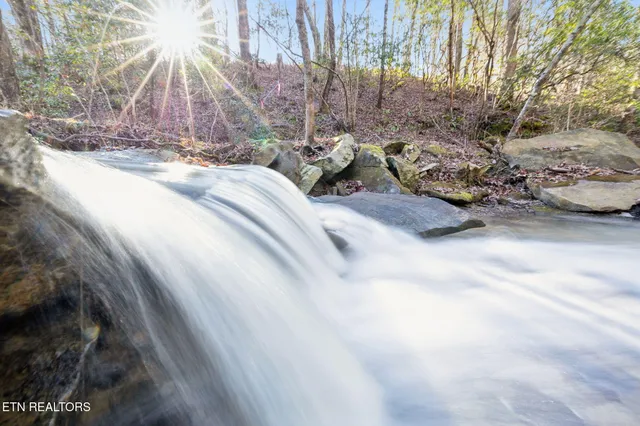 $624,900 | 590 Hamby Lane, Robbins, TN 37852