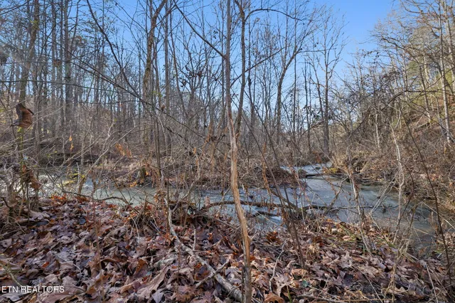 $624,900 | 590 Hamby Lane, Robbins, TN 37852