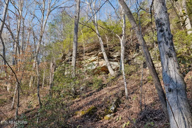 $624,900 | 590 Hamby Lane, Robbins, TN 37852