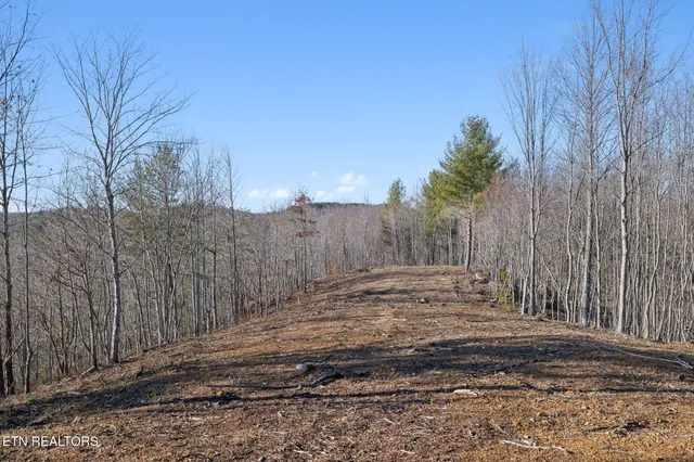 $624,900 | 590 Hamby Lane, Robbins, TN 37852