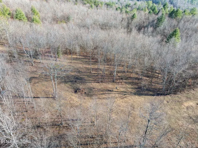 $624,900 | 590 Hamby Lane, Robbins, TN 37852