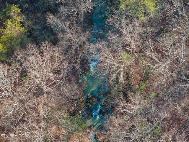 $624,900 | 590 Hamby Lane, Robbins, TN 37852