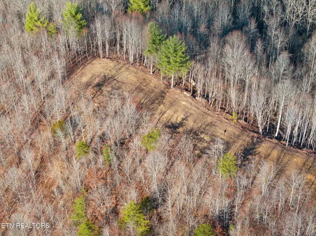 $624,900 | 590 Hamby Lane, Robbins, TN 37852