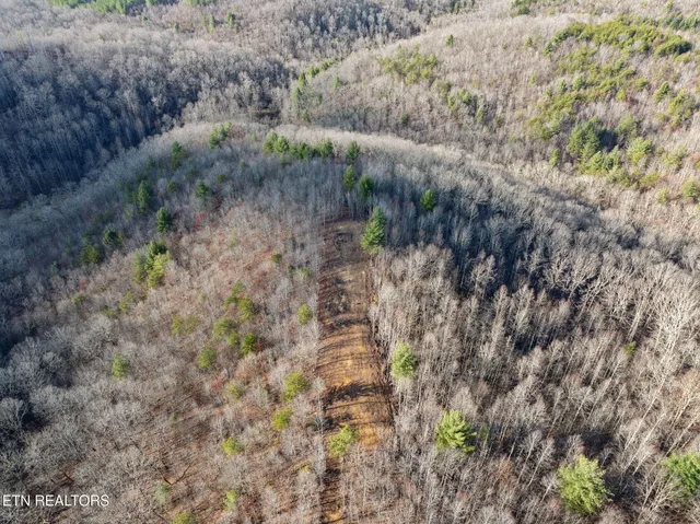 $624,900 | 590 Hamby Lane, Robbins, TN 37852