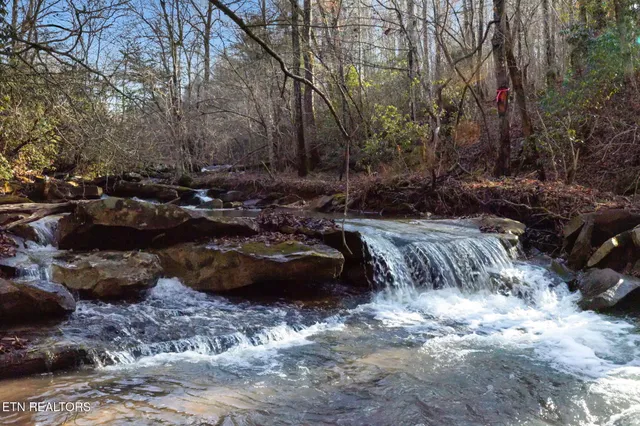 $624,900 | 590 Hamby Lane, Robbins, TN 37852