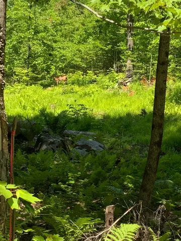 $135,000 | 17-001 Blackberry Lane, Rumford, ME 04276