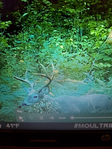 $135,000 | 17-001 Blackberry Lane, Rumford, ME 04276