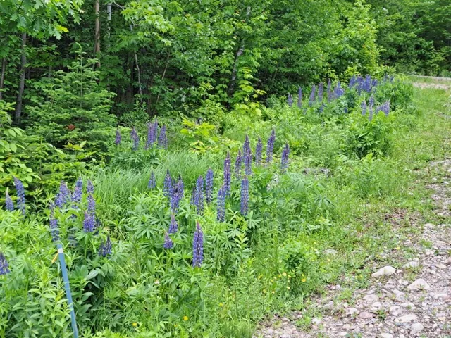 $135,000 | 17-001 Blackberry Lane, Rumford, ME 04276