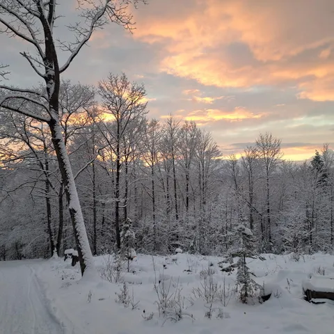 $135,000 | 17-001 Blackberry Lane, Rumford, ME 04276