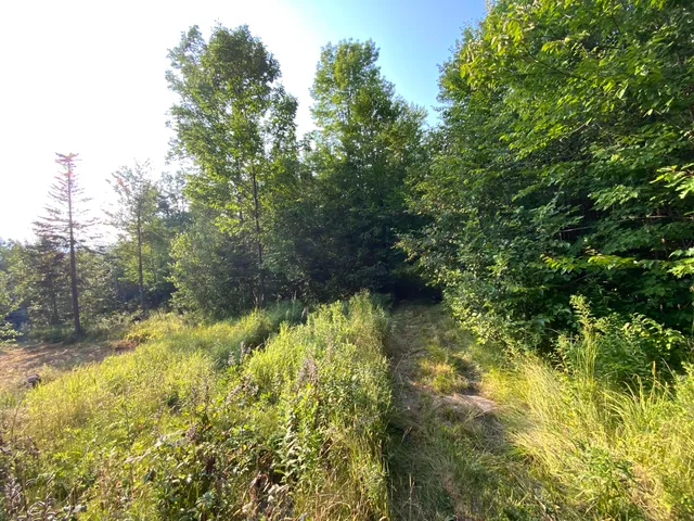 $135,000 | 17-001 Blackberry Lane, Rumford, ME 04276