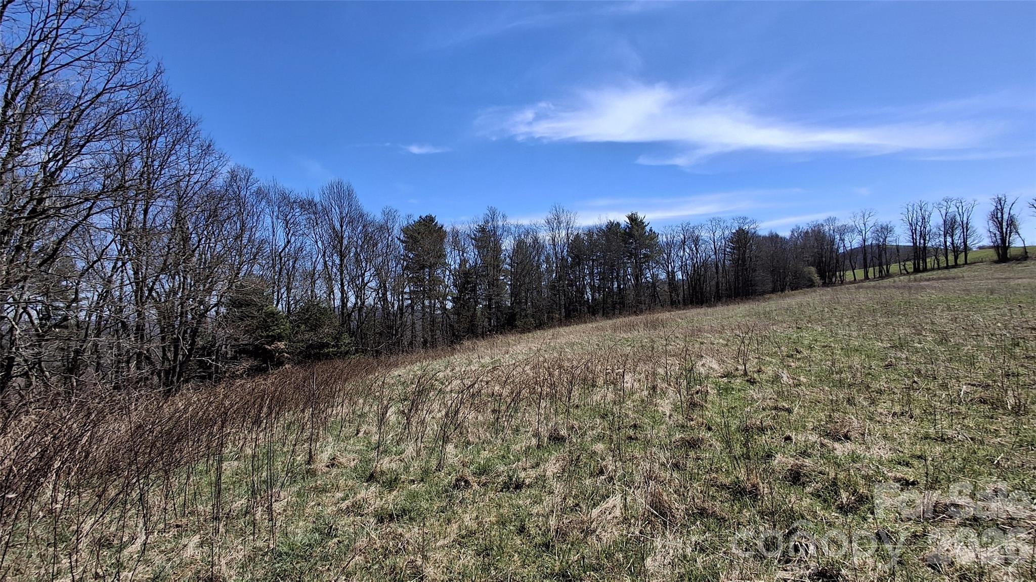 0 Big Ridge Road Glenville, NC 28736 - Photo 11 of 27