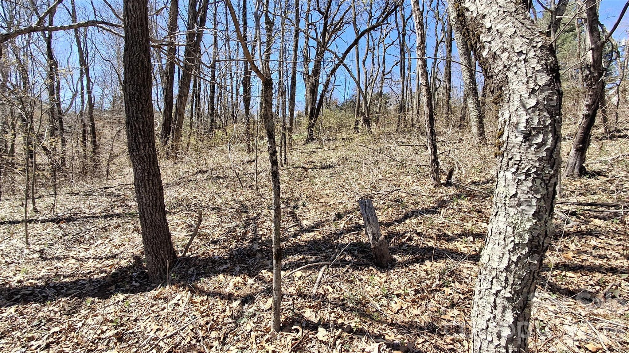 0 Big Ridge Road Glenville, NC 28736 - Photo 12 of 27