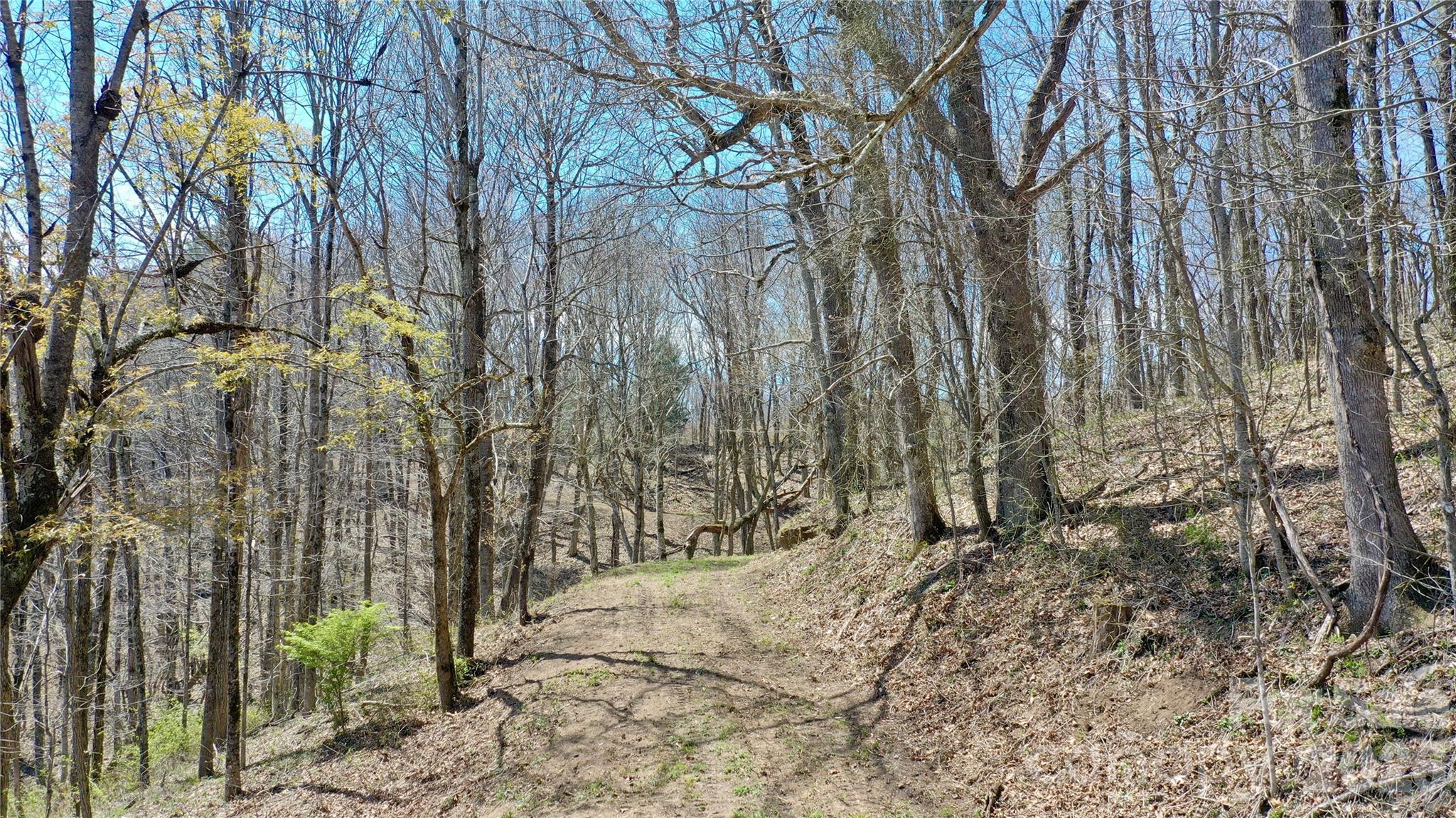 0 Big Ridge Road Glenville, NC 28736 - Photo 13 of 27