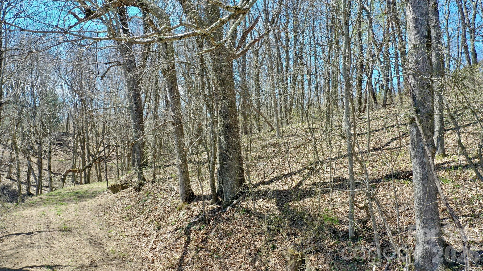 0 Big Ridge Road Glenville, NC 28736 - Photo 14 of 27