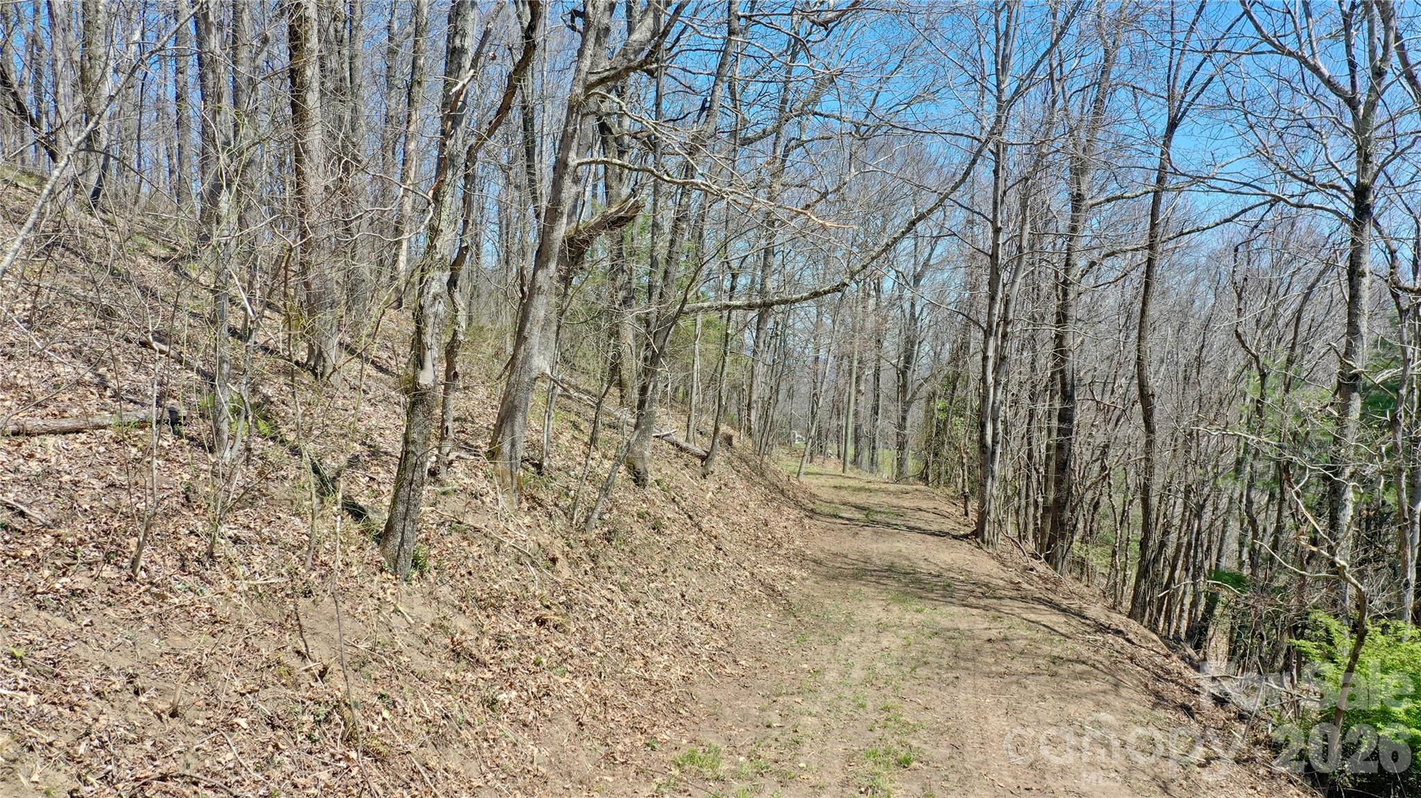 0 Big Ridge Road Glenville, NC 28736 - Photo 15 of 27