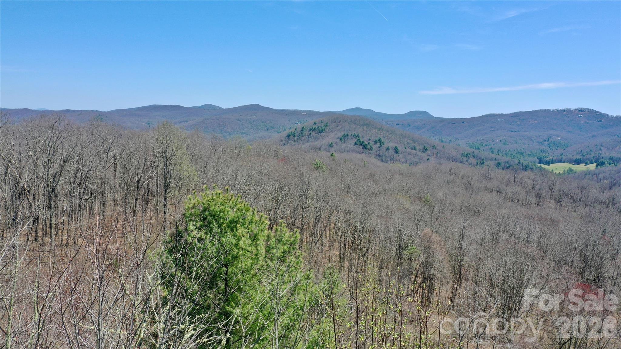 0 Big Ridge Road Glenville, NC 28736 - Photo 18 of 27