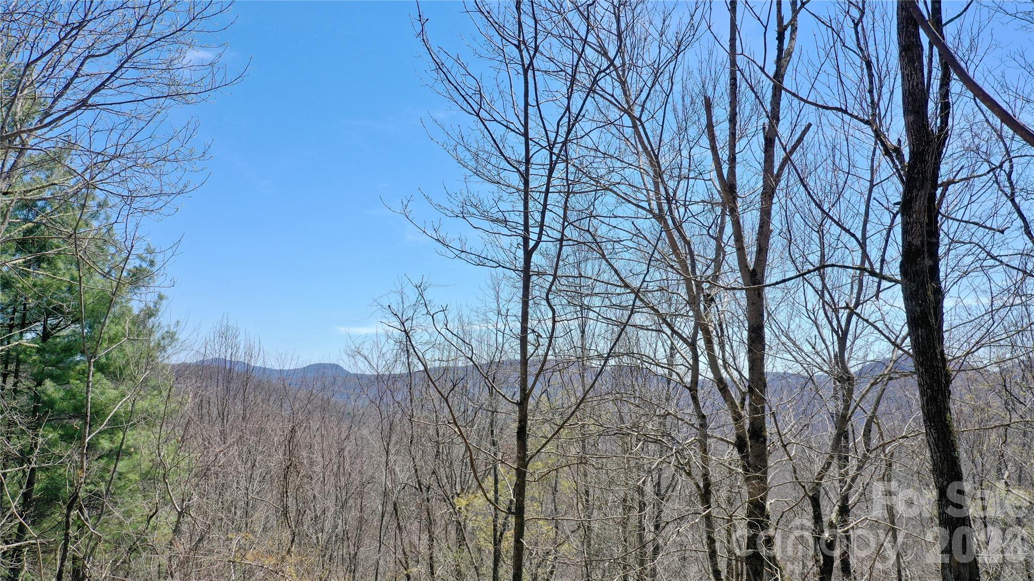 0 Big Ridge Road Glenville, NC 28736 - Photo 19 of 27