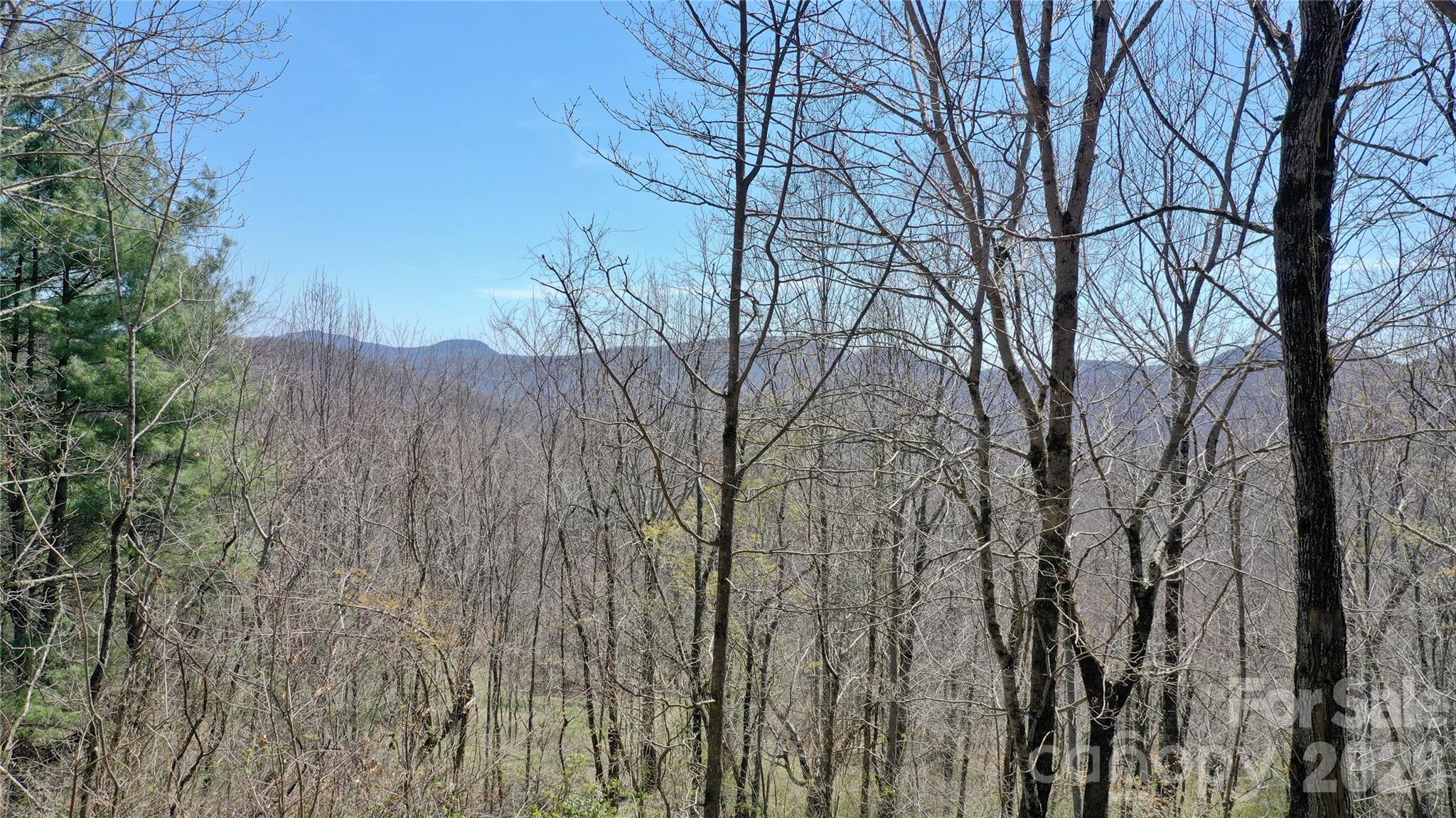 0 Big Ridge Road Glenville, NC 28736 - Photo 20 of 27