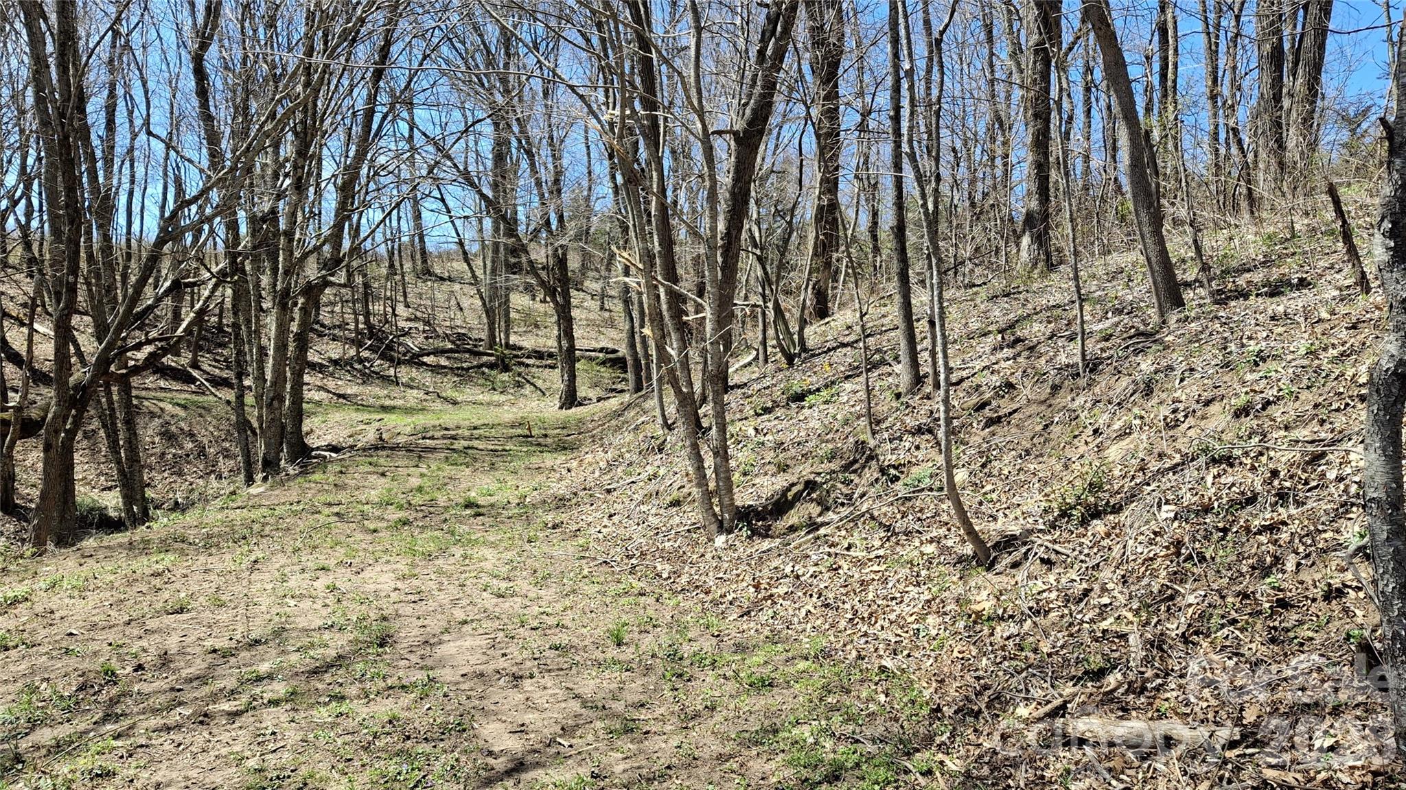 0 Big Ridge Road Glenville, NC 28736 - Photo 2 of 27